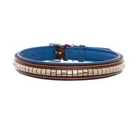 Exion Collier pour chien en cuir véritable argenté clouté doux rembourré pour chiens de petite, moyenne et grande taille pour la promenade et la course à pied Marron chêne avec rembourrage bleu