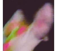 Existenz Vinyle