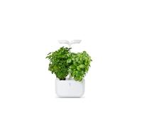 Potager d'intérieur Autonome EXKY Classic Véritable