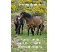 Exmoor Ponies And The Livestock Genesis Of The Horse