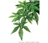 exo-terra abutilon plante terrmm - pour reptile ou amphibien G