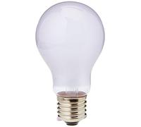 Exoterra Ampoule à Infrarouge à Lumière du Jour pour Reptile 40 W