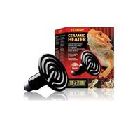 EXO TERRA Ampoule Ceramic Heater 100W - Pour reptiles
