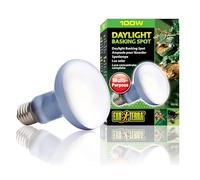 Ampoule Daylight Basking Spot - Exo Terra - 100w