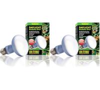 Exo Terra Ampoule Daylight Basking Spot, 100 W (Lot de 2)