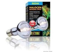 Exo Terra - Ampoule Halogène Basking Spot - 50W G