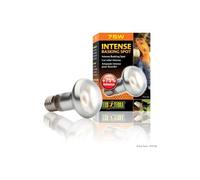 Exo Terra - Ampoule Intense Basking Spot - 75W