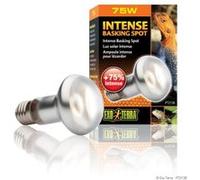Exo Terra - Ampoule Intense Basking Spot - 75W