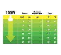 Exo Terra Ampoule Nocturne - 100 W - Pour Reptile Ou Amphibien