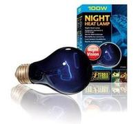 Exo Terra Ampoule Nocturne - 100 W - Pour Reptile Ou Amphibien