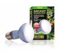Ampoule Daylight Basking Spot - Exo Terra - 75w