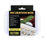 Exo Terra Boite Incubation