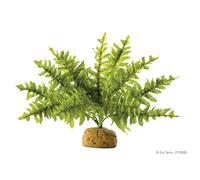 Exo Terra Boston Fougère Plante Pour Reptiles Et Amphibiens