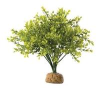 exo-terra buisson de buis - pour reptile ou amphibien G