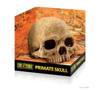 Exo Terra Cachette Crâne De Primate Pour Reptiles 15,5x14,5x16,5cm