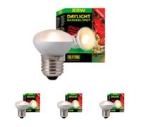 Exo Terra Daylight Basking Spot NANO pour utilisation dans Reptile Dome Nano Culot E27 Argenté 25 W (Lot de 4)