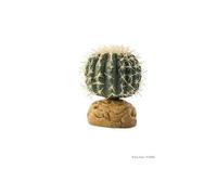 exo terra décoration cactus oursin - petit modele - pour les reptiles et les amphibiens