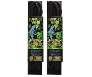 Exo Terra Décoration Liane Flexible Grand Modèle pour Reptiles et Amphibiens (Lot de 2)