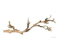 Exo Terra Décoration pour terrarium – Pied de vigne sablé – Grand modèle