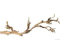 EXO TERRA Décoration Pied de vigne sablé - Grand modele - Pour terrarium