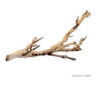 EXO TERRA Décoration Pied de vigne sablé - Petit modèle - Pour terrarium