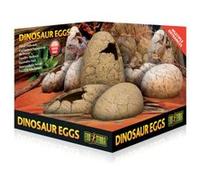 Exo Terra - Décoration ?ufs de Dinosaure pour Terrarium G