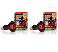 Exo Terra Éclairage pour Reptiles Lampe Infrared Basking Spot 75 W (Lot de 2)