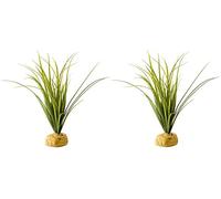 Exo Terra étoile Cactus Plante pour Terrarium Tortue Herbe Plante, Turtle Grass - 2 Pack