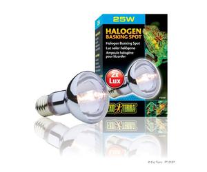 EXO TERRA Exoterra Éclairage pour Reptiles Lampe Halogène Baskingspot 25 W