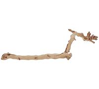 EXO TERRA Décoration Pied de vigne sablé - Grand modèle - Pour terrarium