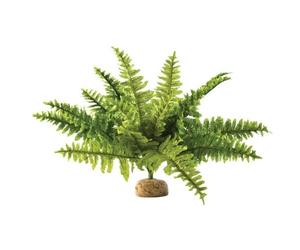 Exo-Terra Fougere De Boston - Gm - Pour Reptile Ou Amphibien