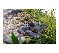 Exo-Terra Hippo Turtle Island - Pour Reptile Ou Amphibien