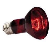 Exo Terra Spot De Chauffage Infrarouge - Lampe Spot Infrarouge Pour Terrarium