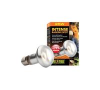 Exo Terra - Lampe Intense Basking Spot - 25W