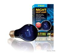 EXO TERRA-NIGHT HEAT ampoule 75 W