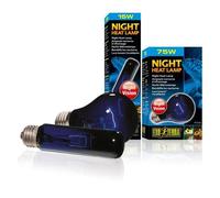 Exo Terra Noir Nocturne - 15 W - Pour Reptile Ou Amphibien