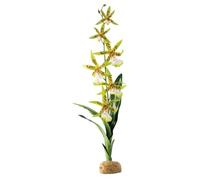 Exo Terra Plante de Décoration pour Reptile Orchidée Arachnis Flos Aeris