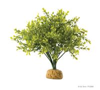Exo Terra Plante De Terrarium Buis Pour Reptiles Et Amphibiens 30Cm