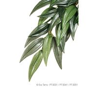 EXO TERRA Plante Ruscus - Vert - Pour terrarium