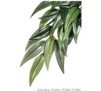Kit de décoration ruscus plante Exo Terra Vert 17,5x3x55,5 cm