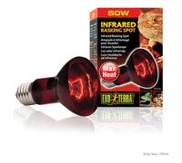 Ampoule à Infrarouge Pour Lézarder 150w - Exo Terra