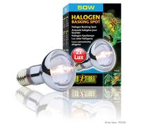 Exo Terra Sun Glo Halogène De Jour Neodymium Pour Reptiles