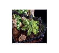 exo terra terrarium foret pluviale équipé m - pour reptile ou amphibien