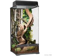 Terrarium en Verre - Petit - Petit/Très Haut