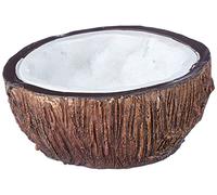 Exo Terra Tiki Bol à Eau Noix de Coco