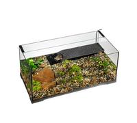 Exo Terra Turtle Haven Terrarium Aquatique 90 x 45 x 37 cm