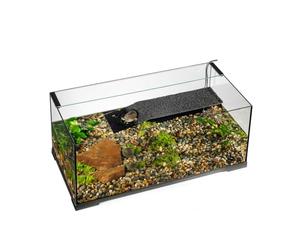 Exo Terra Turtle Haven Terrarium Aquatique 90 x 45 x 37 cm