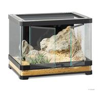 Exo Terra Vista 60 - Terrarium panoramique Naturel