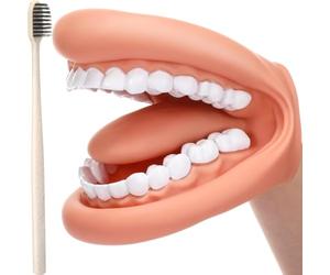 Exogio Bouche Marionnette avec Langue Dents, Modèle de Démonstration Dentaire, Bouche Marionnette à Main Dentaire Bouche Modèle avec Brosse à Dents pour l'Enseignement ou les Soins Bucco-Dentaires