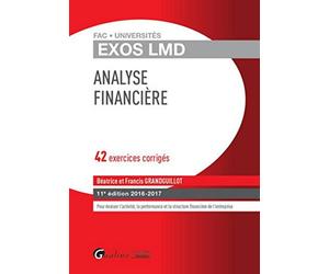 Exos LMD - Analyse financière 2016-2017